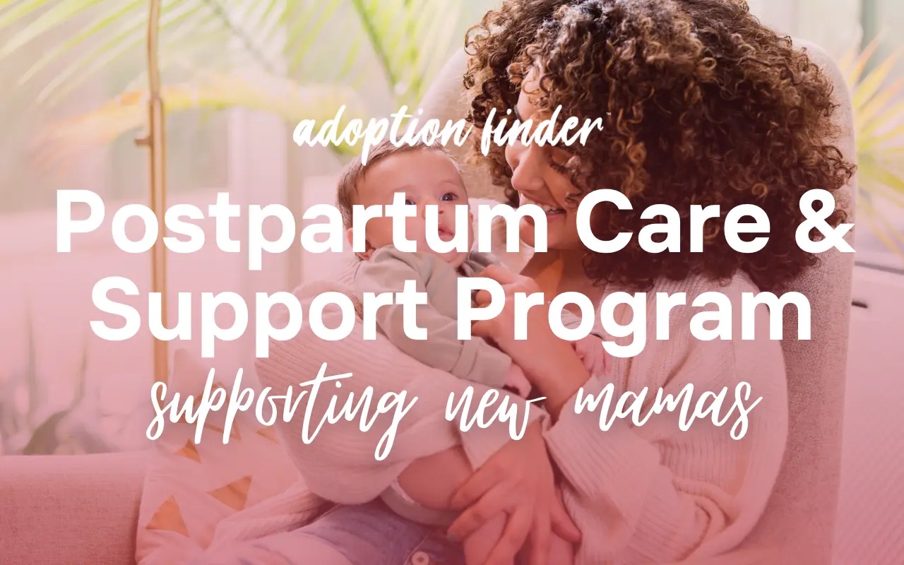 Postpartum care and support program adoption finder