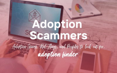 Adoption Scammers: How to Protect Hopeful Parents and Expecting Moms